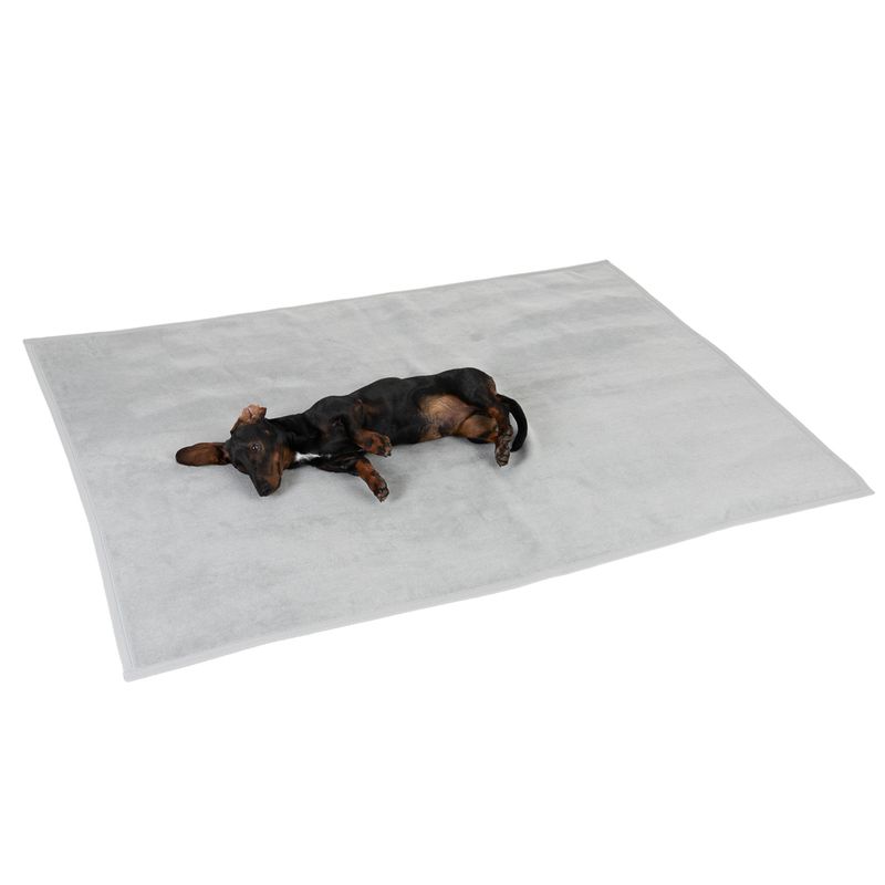 Dog lying on a grey mat. Product shows a pet mat for pets.
