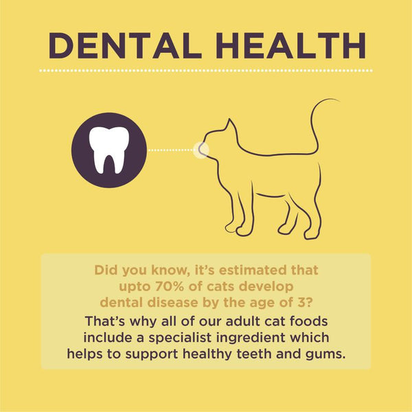 Burgess Adult Cat Rich in Chicken with Duck || Burgess || view 7