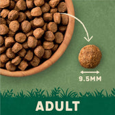 Harringtons Complete Adult Dog - Rich in Salmon & Potato || Harringtons || view 7