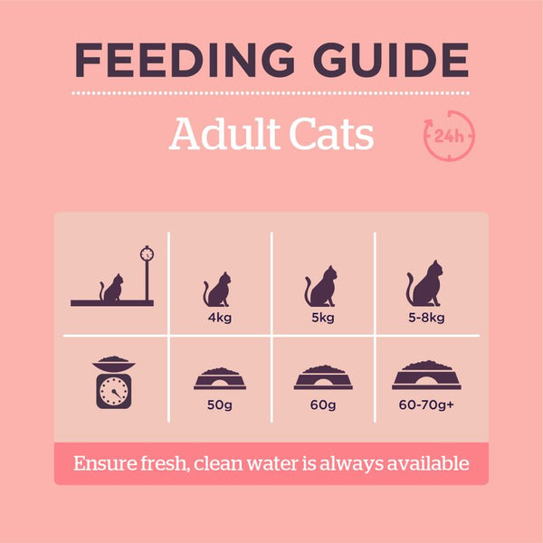 Burgess Adult Cat Rich in Salmon || Burgess || view 8