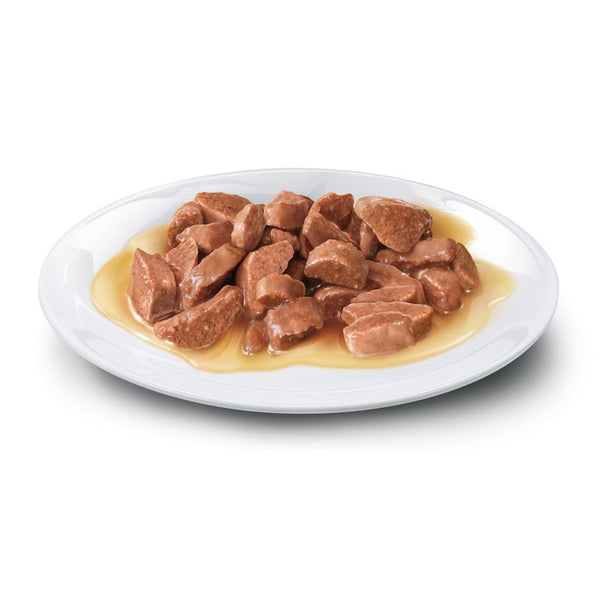 Concept for Life All Cats 10+ – in Gravy || undefined || view 2