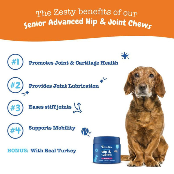 Zesty Paws Senior Advanced Hip & Joint Chews Mobility - Turkey || Zesty Paws || view 2