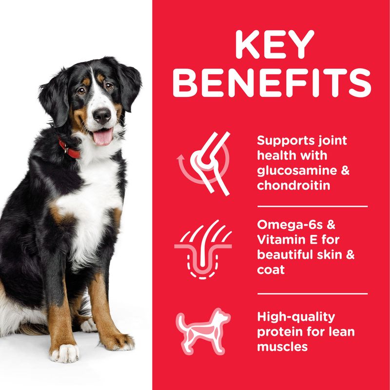 Hill's Science Plan Adult 1-5 Large Breed with Chicken || Hill's Science Plan || view 3