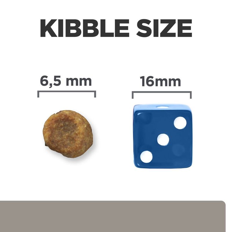 Kibble size comparison showing a 6.5 mm kibble next to a 16 mm blue dice for scale.