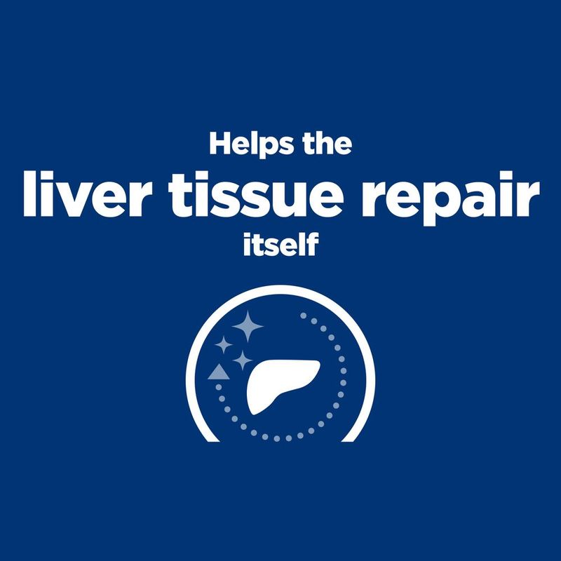 Helps the liver tissue repair itself, with a graphic of a liver and sparkles indicating regeneration support.