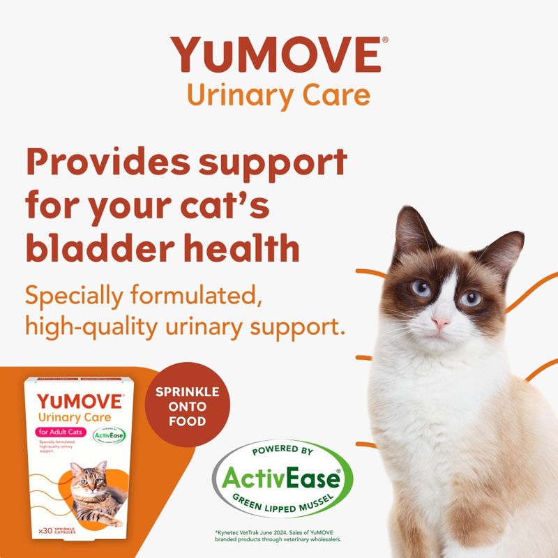 YuMOVE Urinary Care for cats provides support for bladder health. Specially formulated, high-quality urinary support. Sprinkle onto food. Powered by ActivEase green lipped mussel.