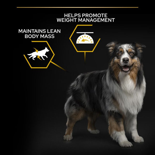 PURINA PRO PLAN All Sizes Adult Light/Sterilised || Pro Plan || view 6