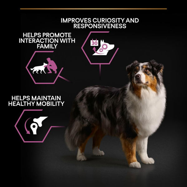 PURINA PRO PLAN Medium & Large Adult 7+ Age Defence || undefined || view 6