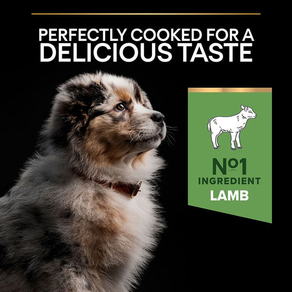 PURINA PRO PLAN Medium Puppy Lamb & Rice Sensitive Digestion || undefined || view 7
