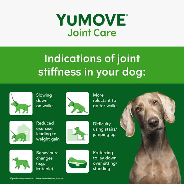 YuMOVE Joint Care Daily Bites for Adult Dogs || YuMOVE || view 3