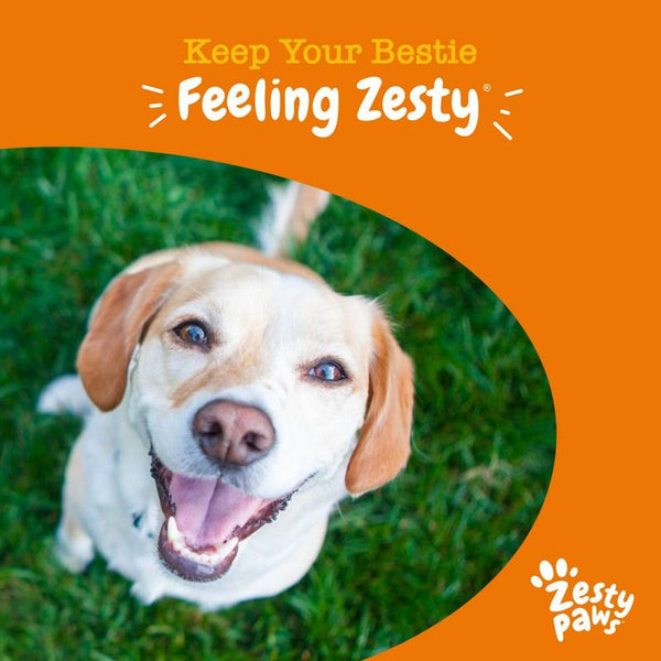 Zesty Paws Allergy & Immunity Chews - Salmon || Zesty Paws || view 8