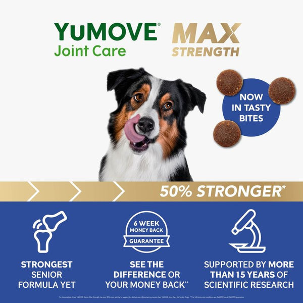 YuMOVE Joint Care Daily Bites for Senior Dogs Max Strength || YuMOVE || view 4