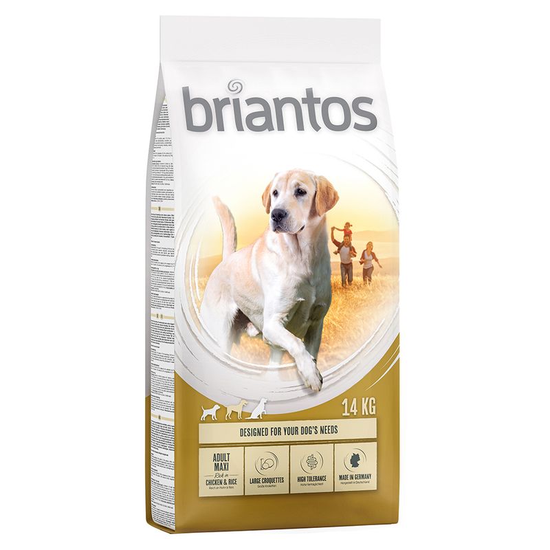 Briantos Maxi Adult || briantos || view 1