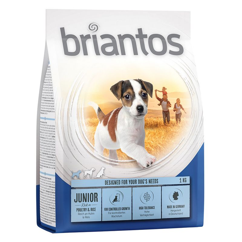 Briantos Junior || briantos || view 2