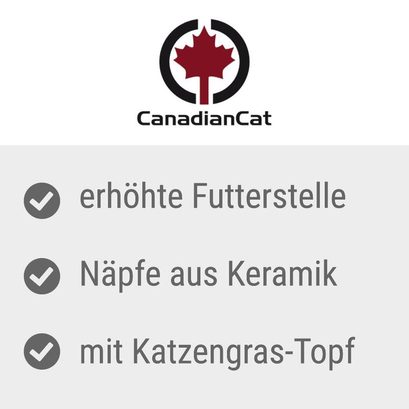 CanadianCat. Raised feeding station, ceramic bowls, with cat grass pot.