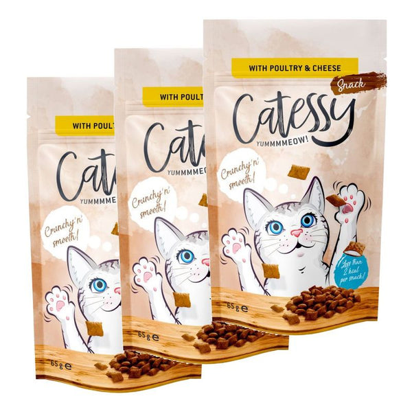 Catessy Crunchy Snacks Saver Pack 3 x 65g || undefined || view 5