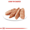 Royal Canin Coat Care Loaf || Royal Canin Care Nutrition || view 5