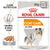 Royal Canin Coat Care Loaf || Royal Canin Care Nutrition || view 1