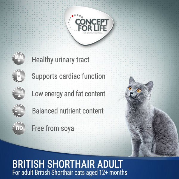 Concept for Life British Shorthair Adult - in Ragout || undefined || view 3