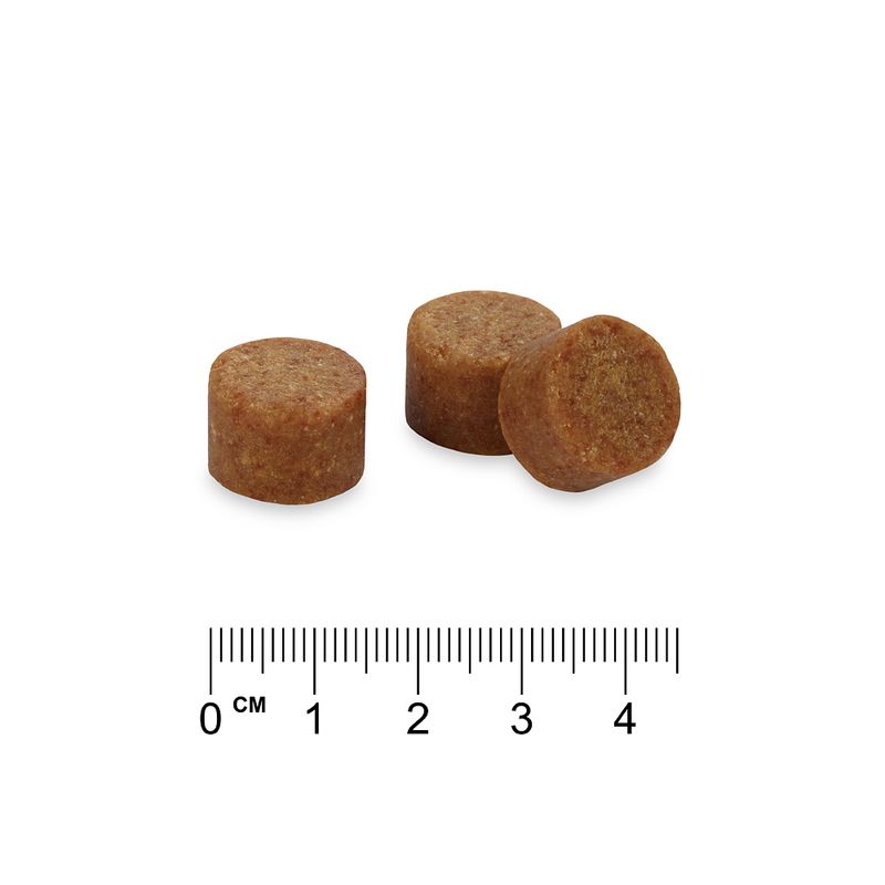 Concept for Life Immune System Support Supplements Chews