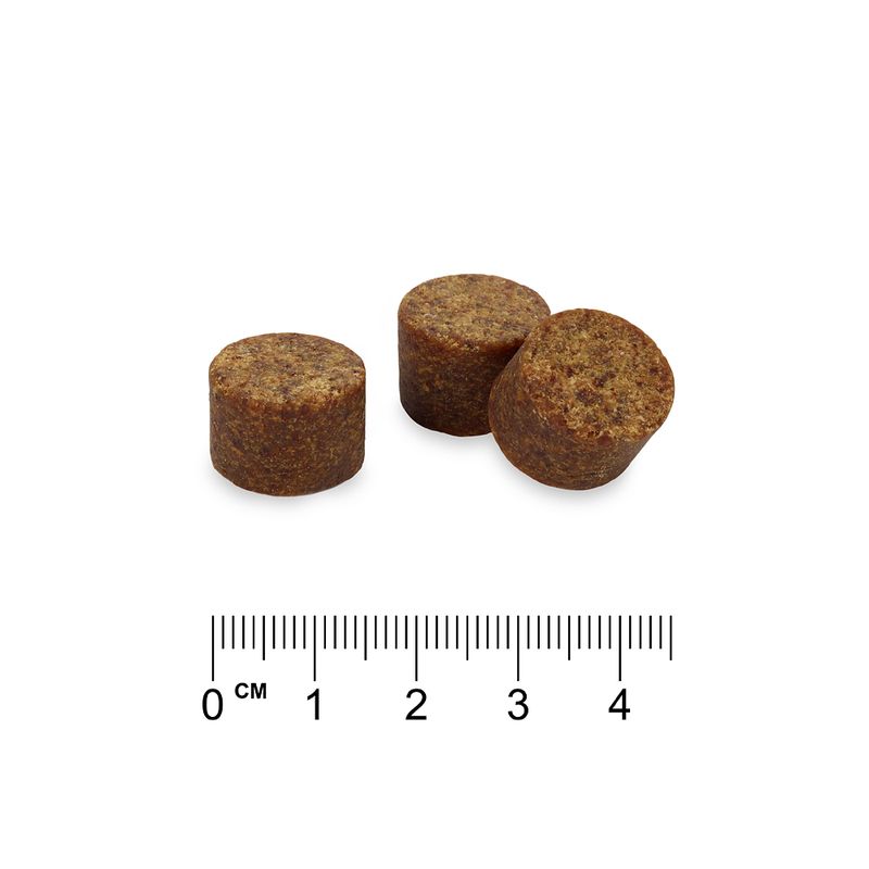 Concept for Life 10-in-1 Multivitamin Supplements Chews