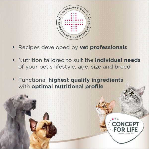 Concept for Life Golden Retriever Adult || Concept for Life || view 12