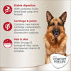 Concept for Life German Shepherd Adult || Concept for Life || view 4
