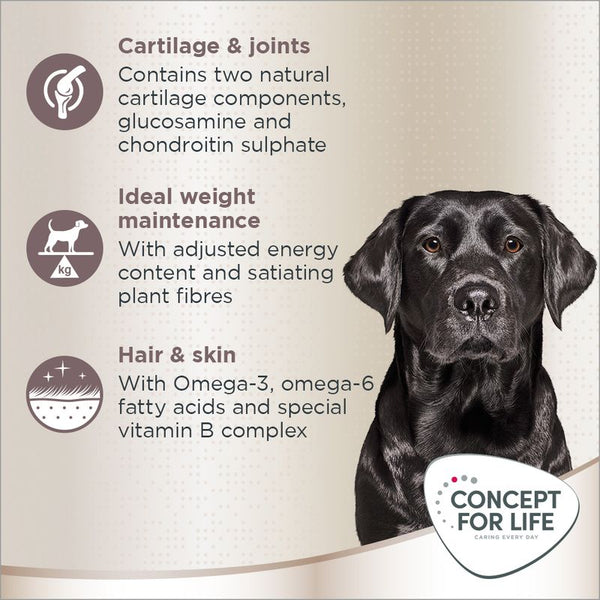 Concept for Life Labrador Retriever Adult || Concept for Life || view 4