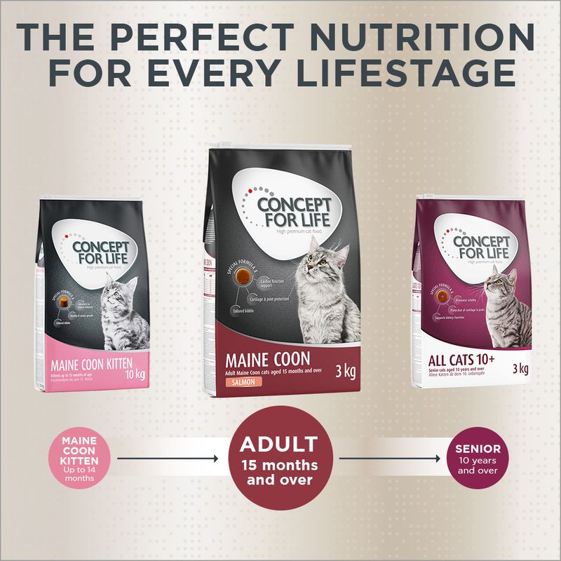 Concept for Life cat food range showing options for kitten up to 14 months, adult from 15 months, and senior from 10 years, with packaging images and key benefits highlighted.
