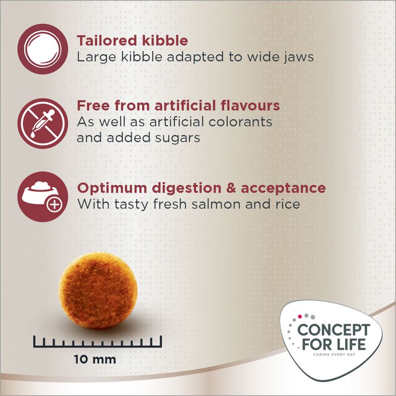 Large kibble adapted to wide jaws, free from artificial flavours, colourants and added sugars. Supports optimum digestion with fresh salmon and rice. Kibble size shown as 10 mm.