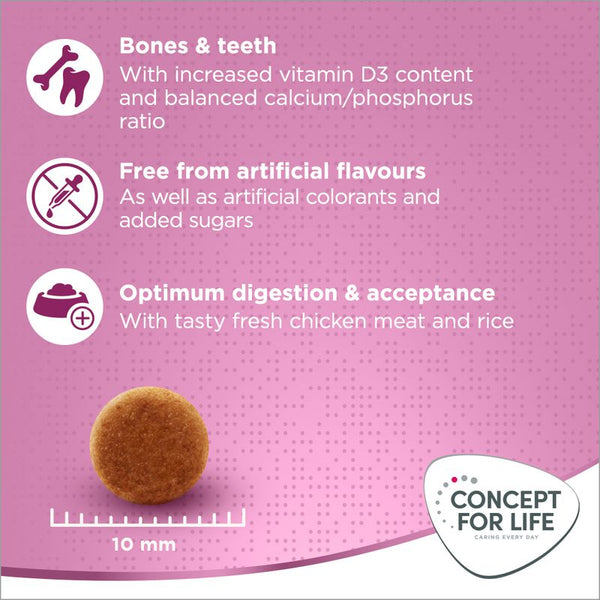 Concept for Life Kitten || Concept for Life || view 7