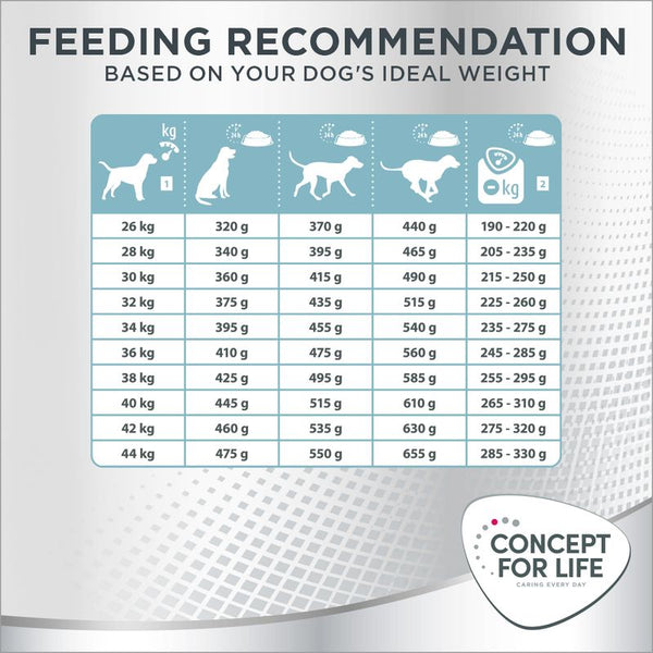 Concept for Life Large Light || Concept for Life || view 8