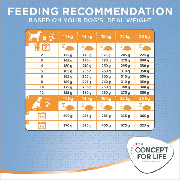 Concept for Life Medium Puppy & Junior || Concept for Life || view 9