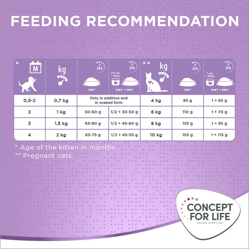 Feeding recommendation chart showing daily dry and wet food amounts by kitten age, weight, and for pregnant cats. Includes specific gram values for each category.