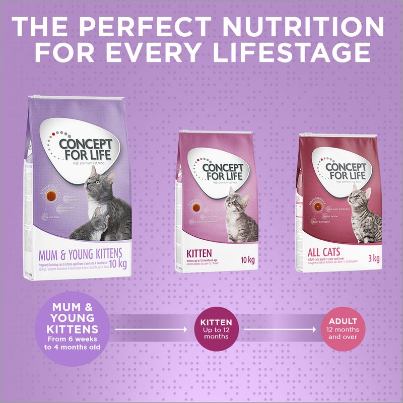 Concept for Life food range showing Mum & Young Kittens for 6 weeks to 4 months, Kitten up to 12 months, and All Cats for 12 months and over. Feeding guide by age group.