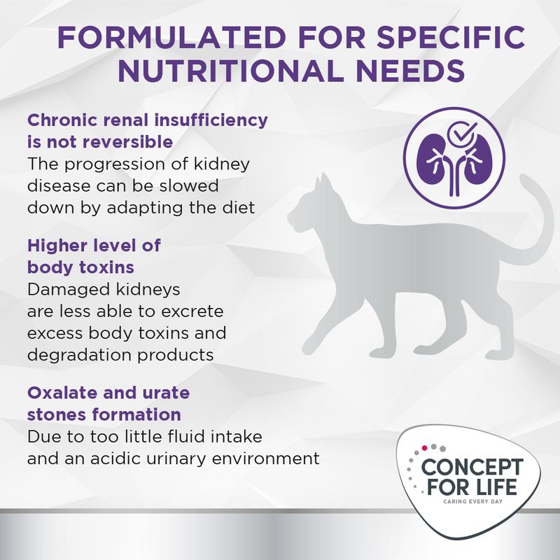 Concept for Life Veterinary Diet Renal || undefined || view 3