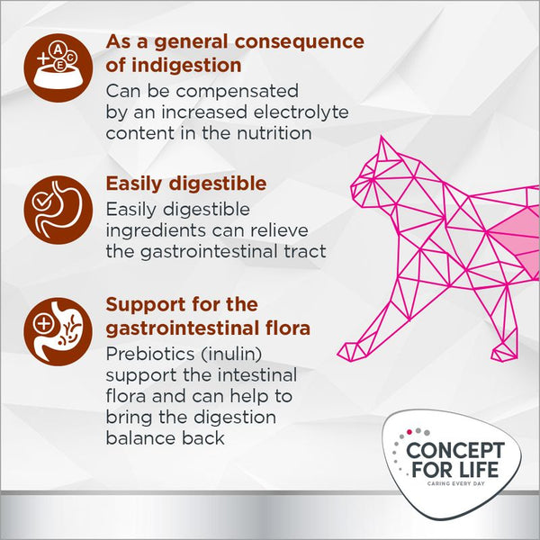 Concept for Life Veterinary Diet Gastrointestinal || undefined || view 6