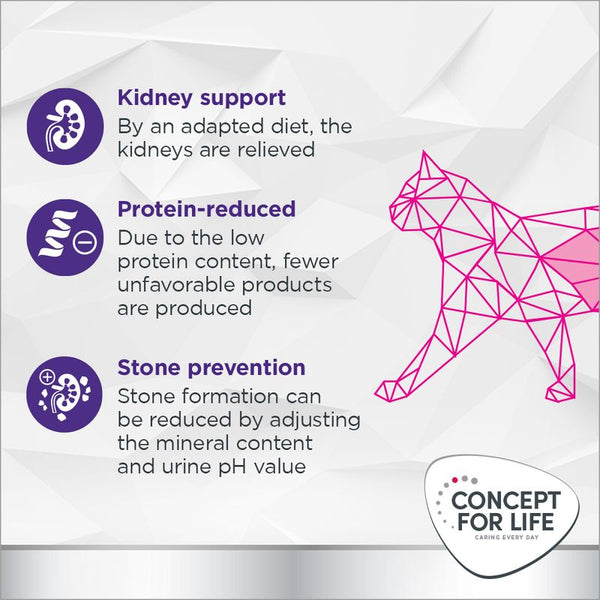 Concept for Life Veterinary Diet Renal || undefined || view 4