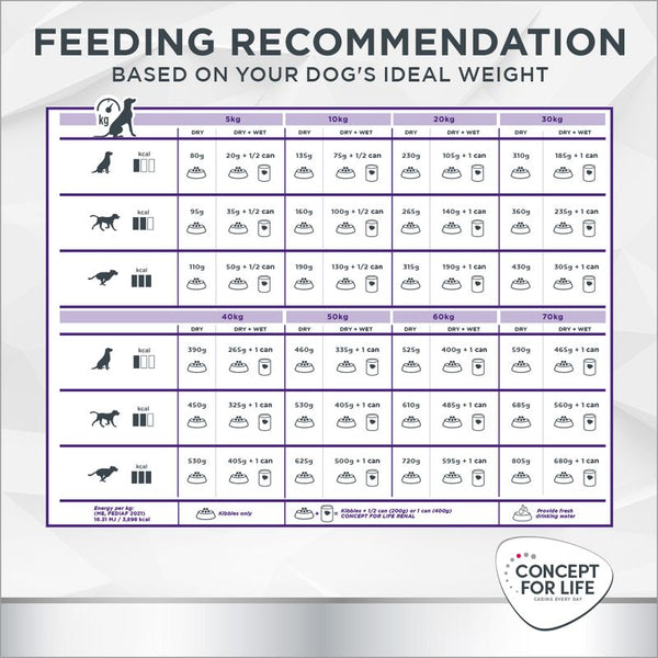 Concept for Life Veterinary Diet Dog Renal || undefined || view 9