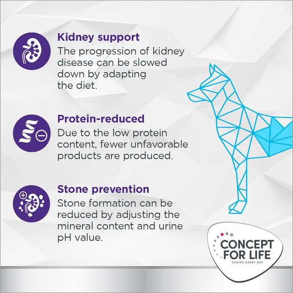 Concept for Life Veterinary Diet Renal || undefined || view 4