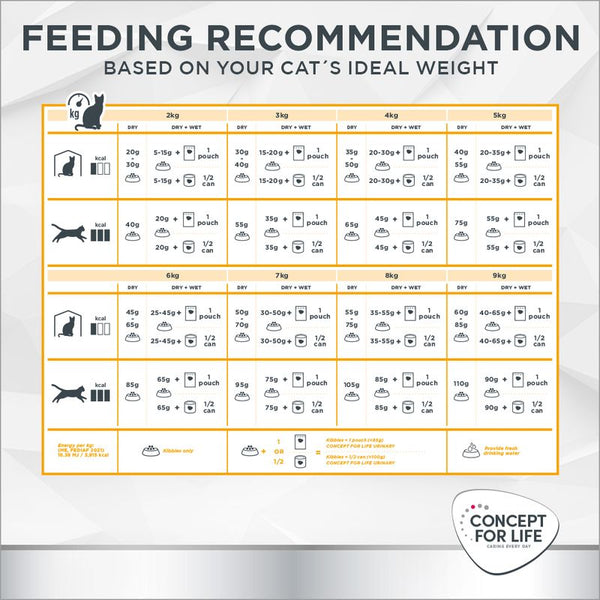 Concept for Life Veterinary Diet Urinary || undefined || view 9