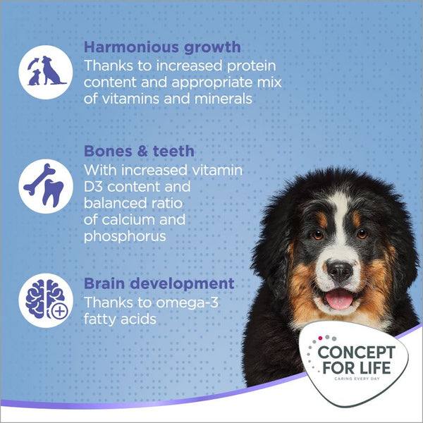 Concept for Life X-Large Puppy & Junior || Concept for Life || view 4