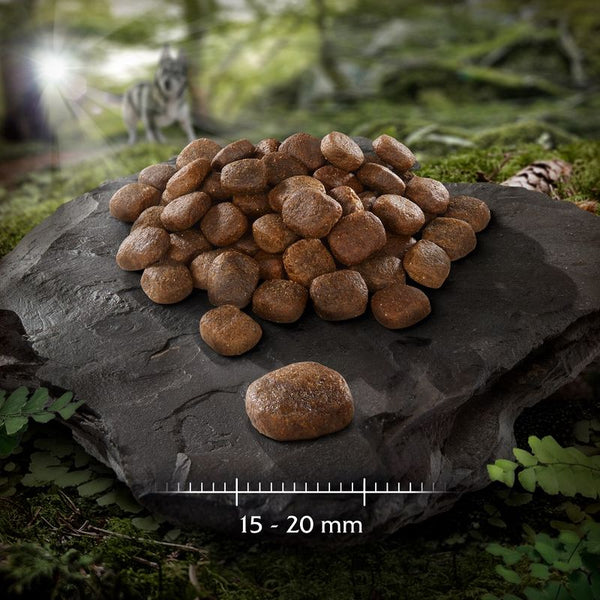 Wolf of Wilderness "Canadian Woodlands" with Beef, Cod & Turkey - Grain Free || Wolf of Wilderness || view 4