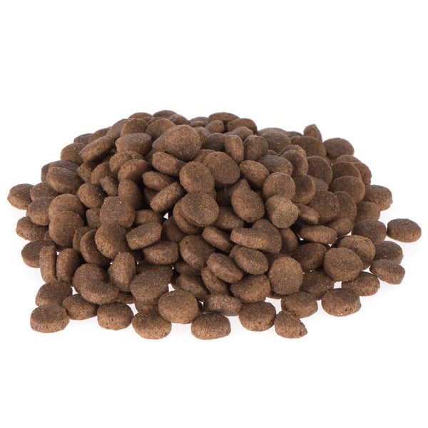 Briantos Adult Salmon & Rice || briantos || view 4