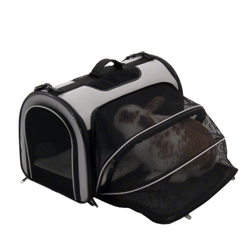 Transport bag with mesh windows and carrying handle, open with a rabbit inside.