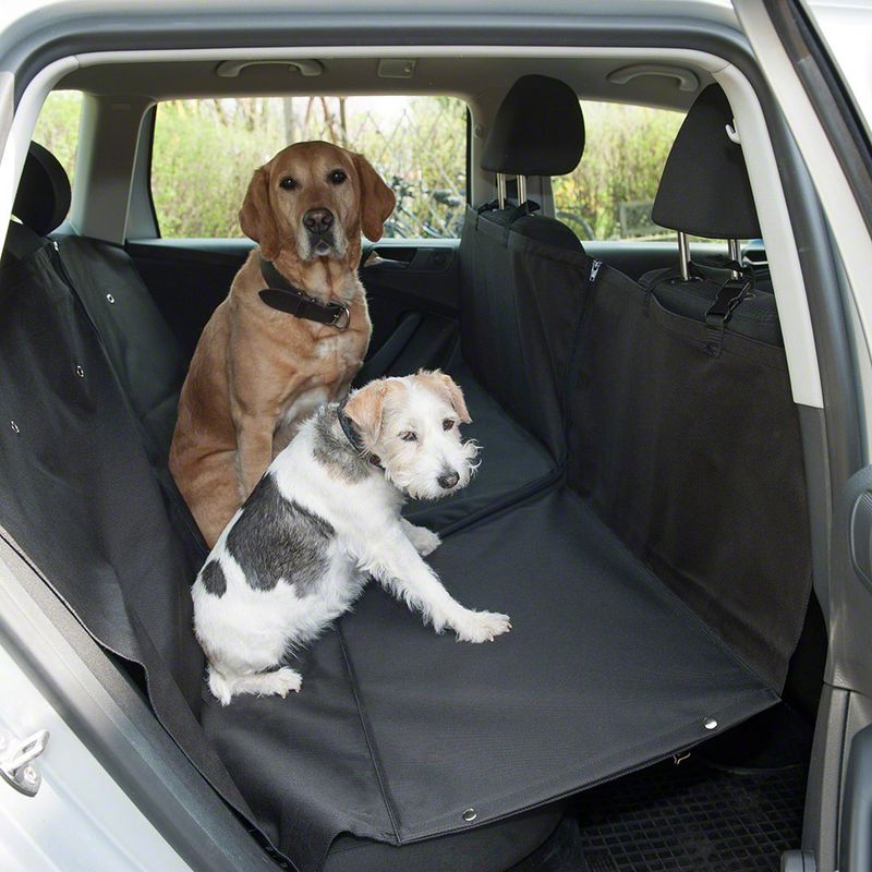 Black car seat cover on the back seat, protects against dirt and pet hair. Two dogs sitting on it.
