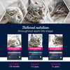 Eukanuba Healthy Start Kitten || undefined || view 6