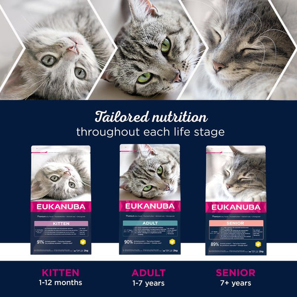 Eukanuba Healthy Start Kitten || undefined || view 6