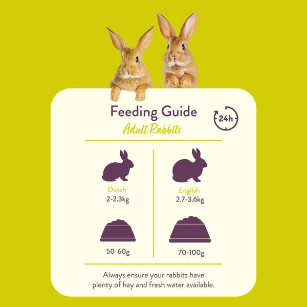 Burgess Excel Adult Rabbit Nuggets with Mint || undefined || view 4