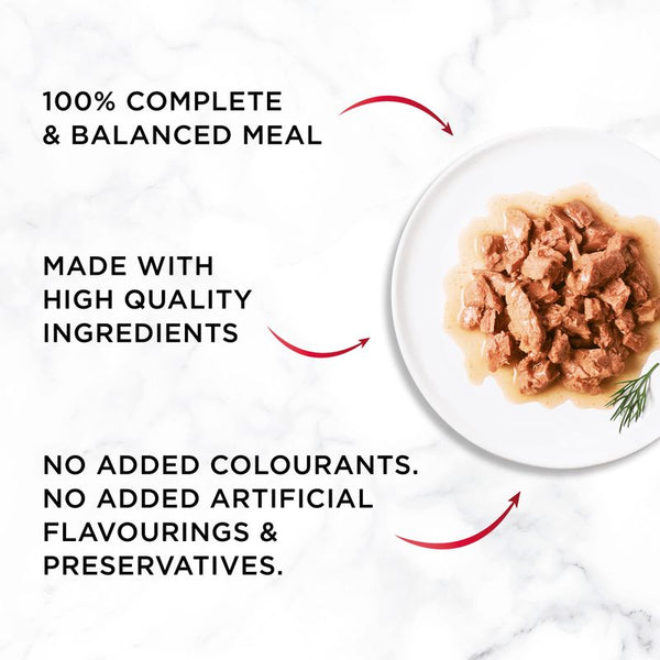 Gourmet Mon Petit || undefined || view 6